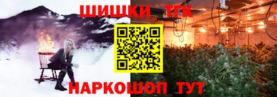 дмт Заводоуковск