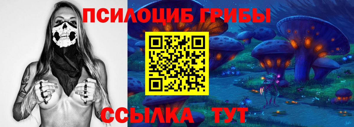Миасс  Галлюциногенные грибы прущие грибы  Псилоцибиновые грибы MAGIC MUSHROOMS  Вход с VPN 